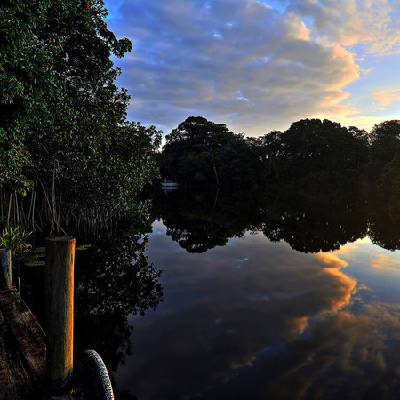 "Sunrise over Sittee River" Sittee River is the source of freshwater in the lagoon I am studying. 