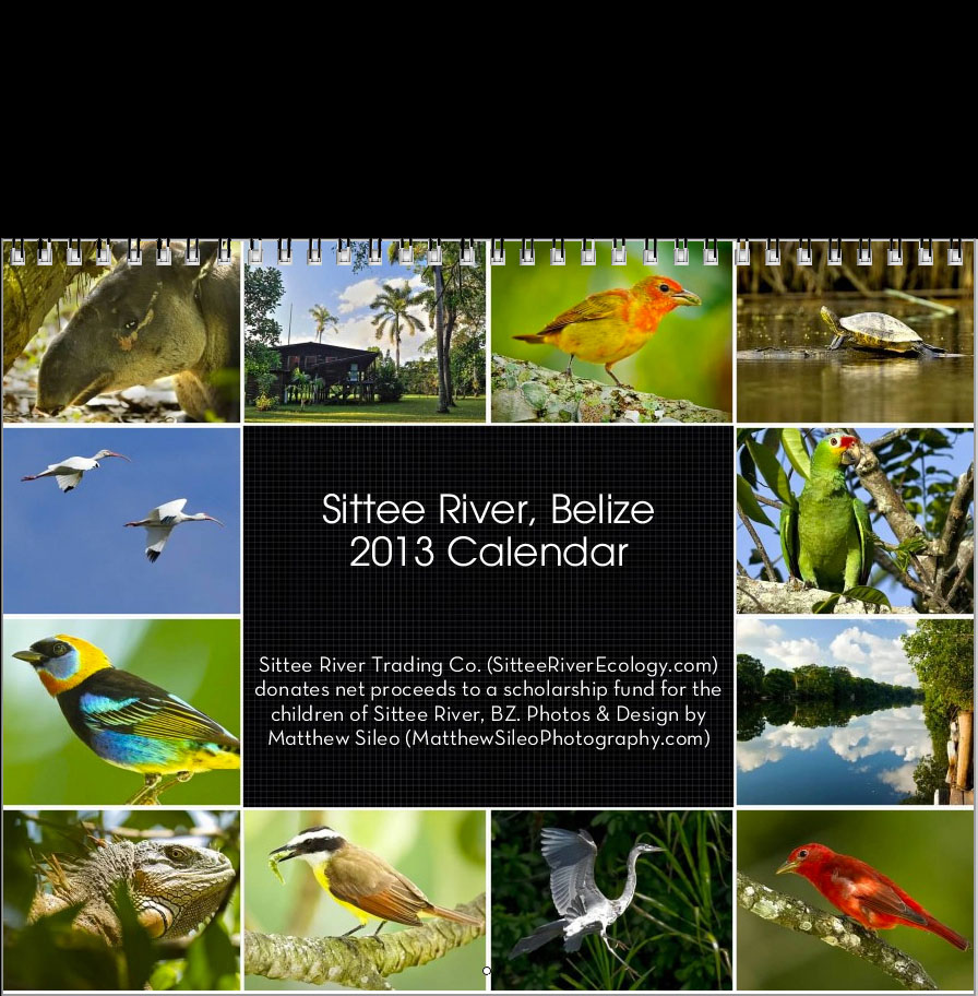 Sittee River, Belize Biodiversity 2013 Calendar - Net proceeds go to a scholarship fund set up for the schoolchildren of Sittee River Methodist School in Belize!
