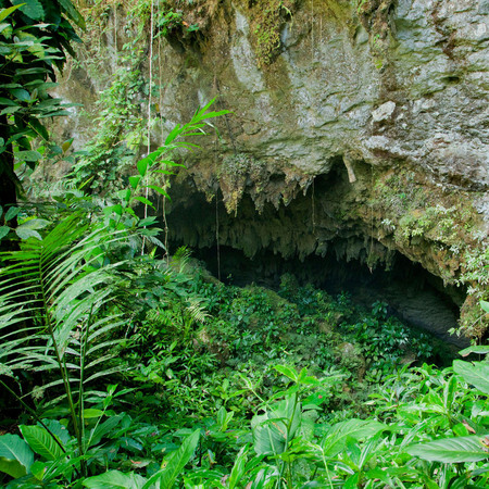Mouth of St. Herman's Cave, Blue Hole National Park (Belize)
