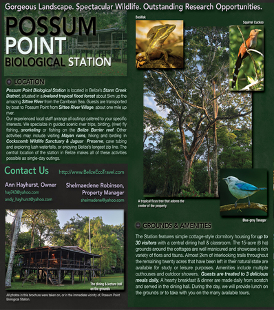 (Interior Panels) Promotional tri-fold brochure for Possum Point Biological Station, Sittee River, Belize