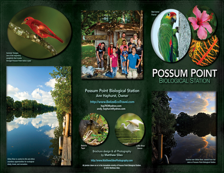 (Exterior Panels) Promotional tri-fold brochure for Possum Point Biological Station, Sittee River, Belize