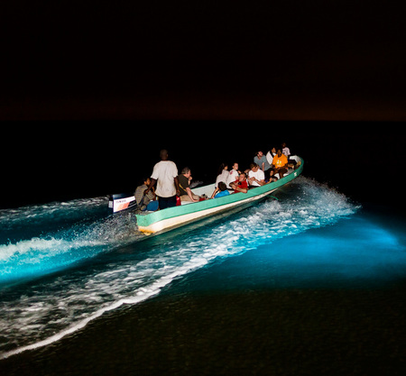 A tour boat enters the bioluminescent lagoon for the first time