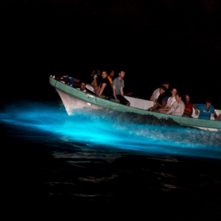 One more shot of the boat going through the bioluminescent lagoon!