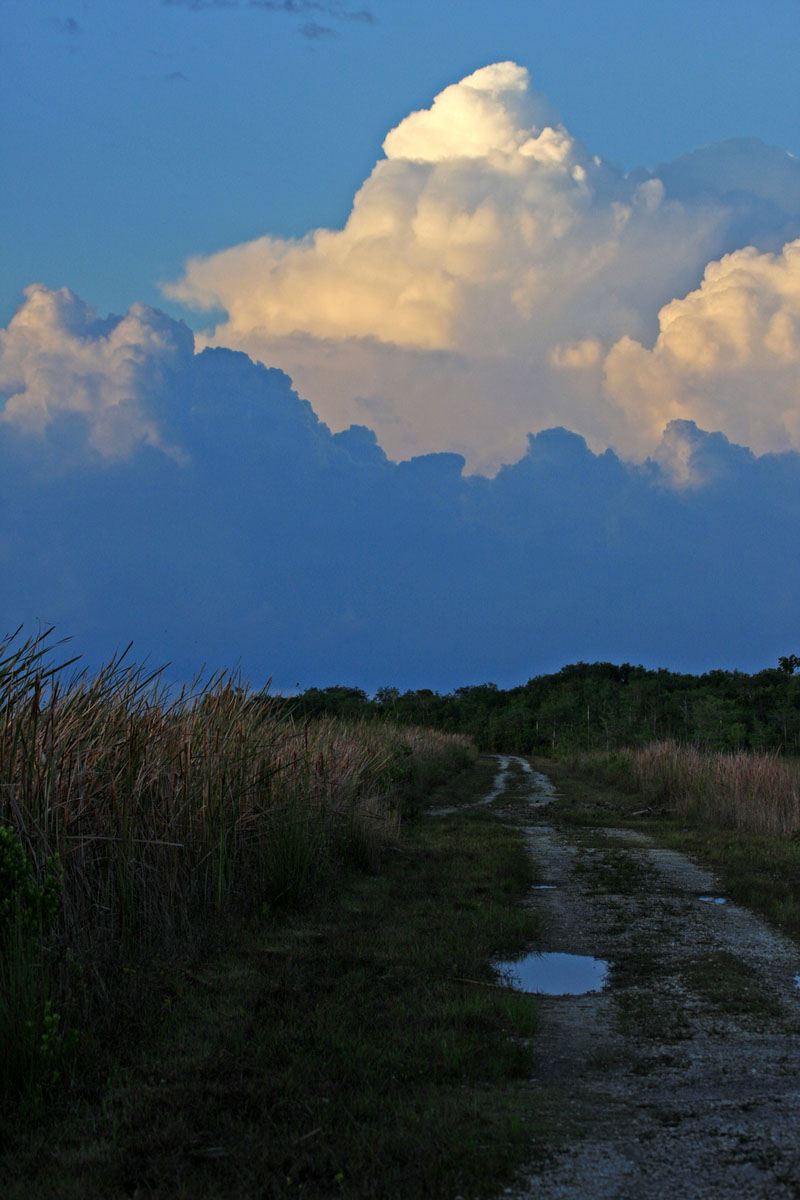 "Road through the Florida Everglades"