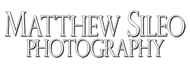 Matthew Sileo Photography | Birds, Wildlife, Ecology, Conservation | Matthew Sileo Photography