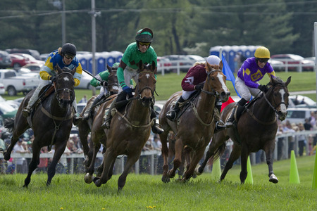 "The Steeplechase" (13) (Middleburg, Virginia)