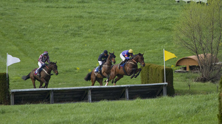 "The Steeplechase" (12) (Middleburg, Virginia)