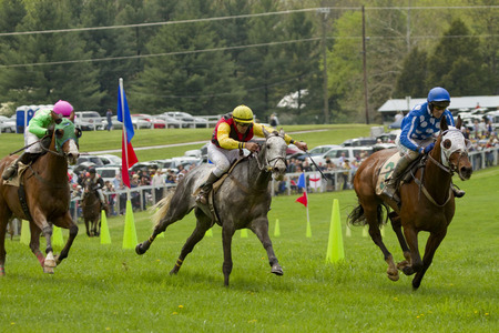 "The Steeplechase" (11) (Middleburg, Virginia)