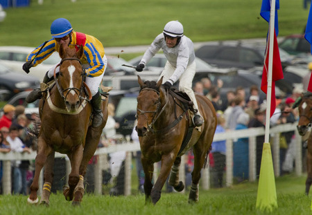 "The Steeplechase" (8) (Middleburg, Virginia)