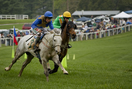 "The Steeplechase" (7) (Middleburg, Virginia)