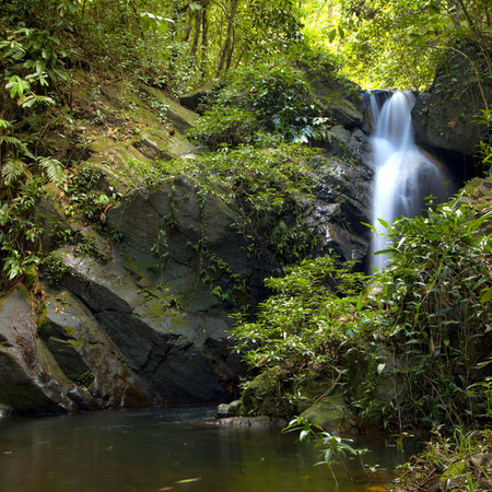"Waterfall in Cockscomb Basin" (1) (Belize)