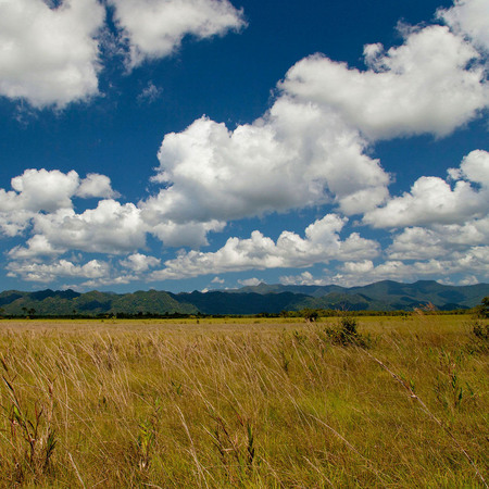 "Tropical Savanna" (Belize)