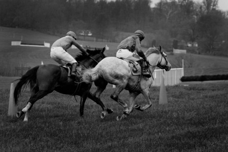 "The Steeplechase" (1) (Middleburg, Virginia)