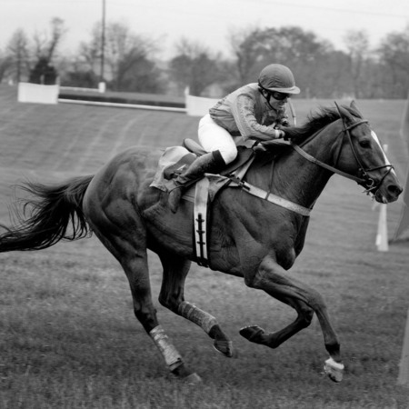 "The Steeplechase" (2) (Middleburg, Virginia)