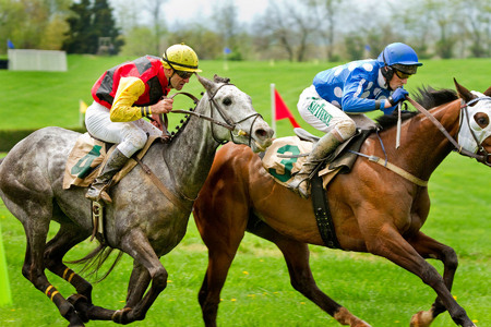 "The Steeplechase" (3) (Middleburg, Virginia)