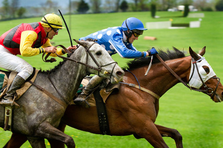 "The Steeplechase" (4) (Middleburg, Virginia)