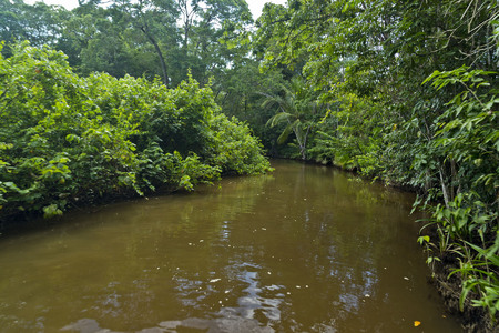 Going through the manmade channel from the river to the bioluminescent lagoon