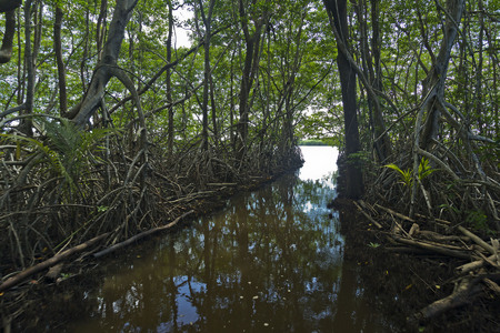 At the end of the cut-through, the lagoon is now visible. 