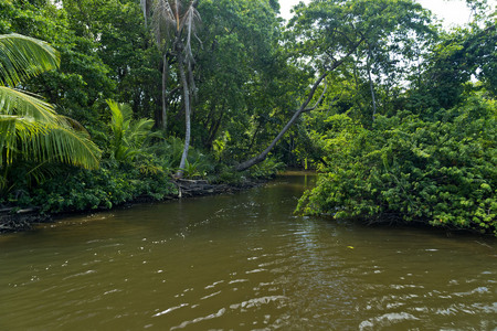 Entrance to manmade channel from the river to the bioluminescent lagoon