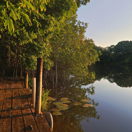 Another view of Sittee River from the dock at Possum Point Biological Station.