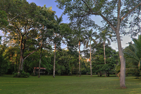 Early morning at Possum Point Biological Station