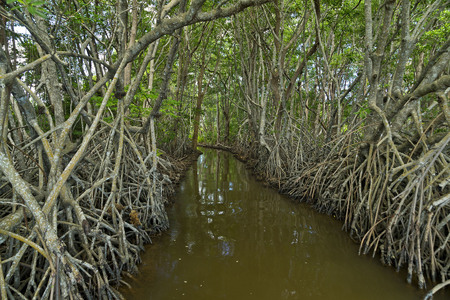 Back at the lagoon-side entrance to the cut-through 