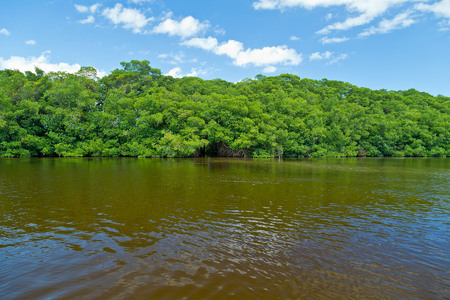 Looking at the entrance to the cut-through back to the river