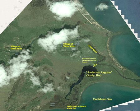 Map of the study area (case layer from Bing Maps)