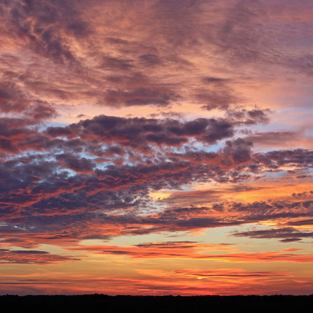 "Everglades Sunset, Panorama" (2)