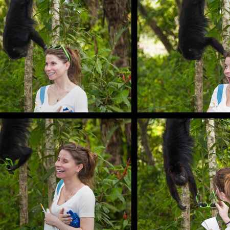 Some of the Howlers were more curious - this young male decided to try out Laura's sunglasses! 