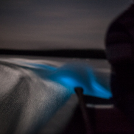 I took this shot without using my flash as our boat entered the lagoon- Clifford's silhouette is on the right as the wake of the boat glows blue.