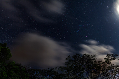 "For Catherine" 
-- On our first night: Orion greets us as we prepare to head out to the lagoon